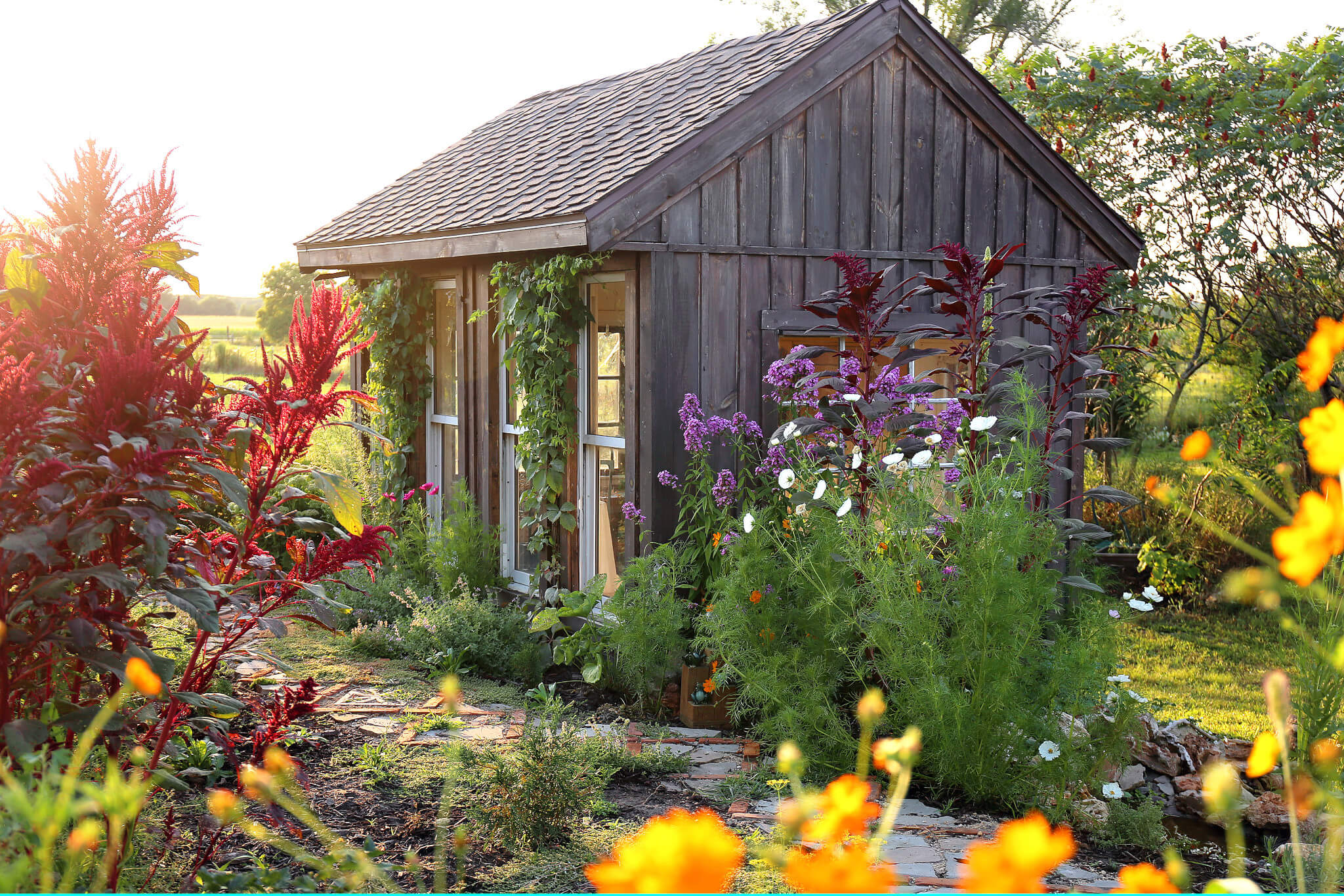 Kleingartenversicherung, Kleines Gartenhaus in einem sonnigen Kleingarten