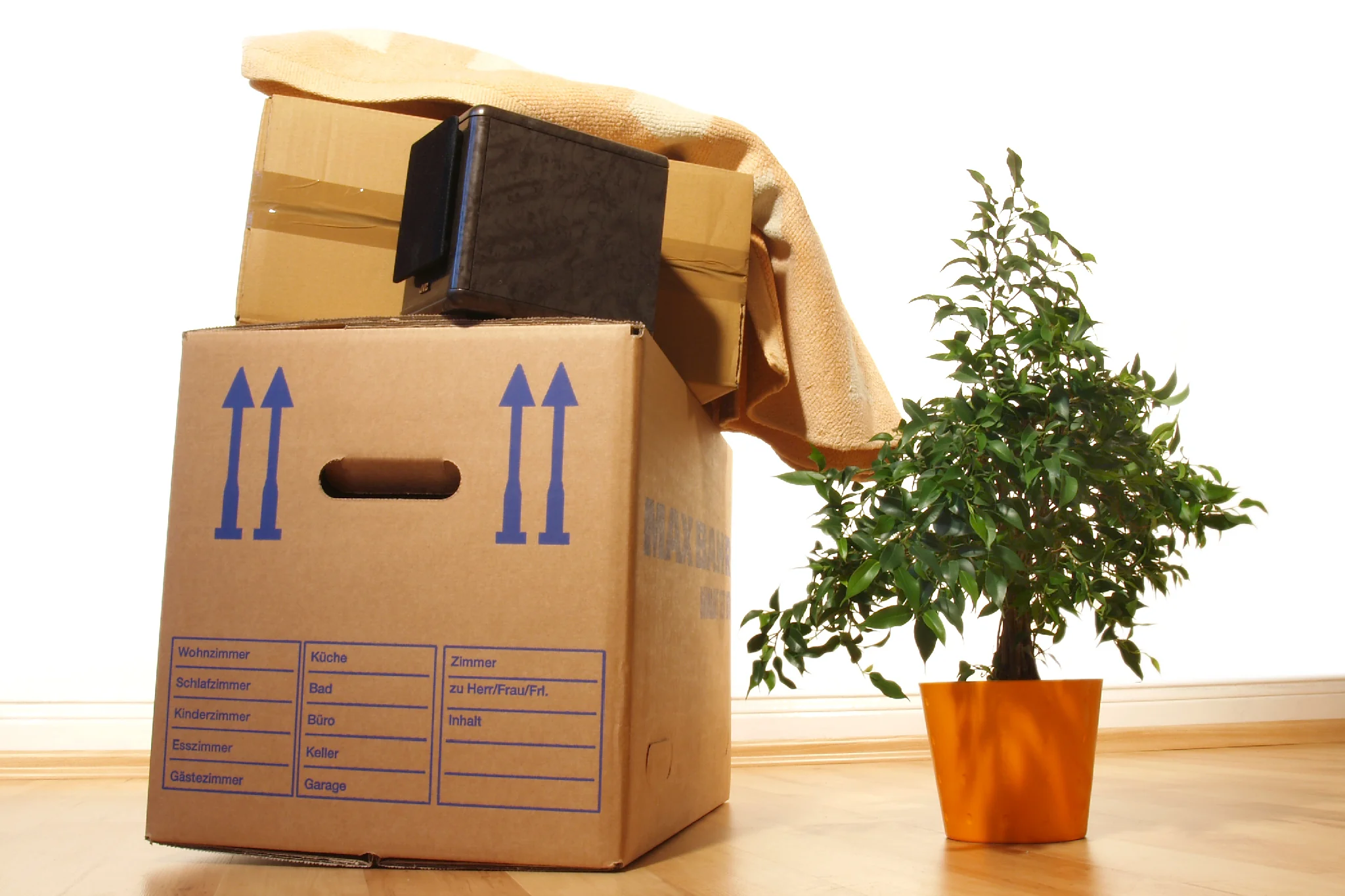 hausratversicherung pflicht, gestapelte umzugskatons neben einer Pflanze