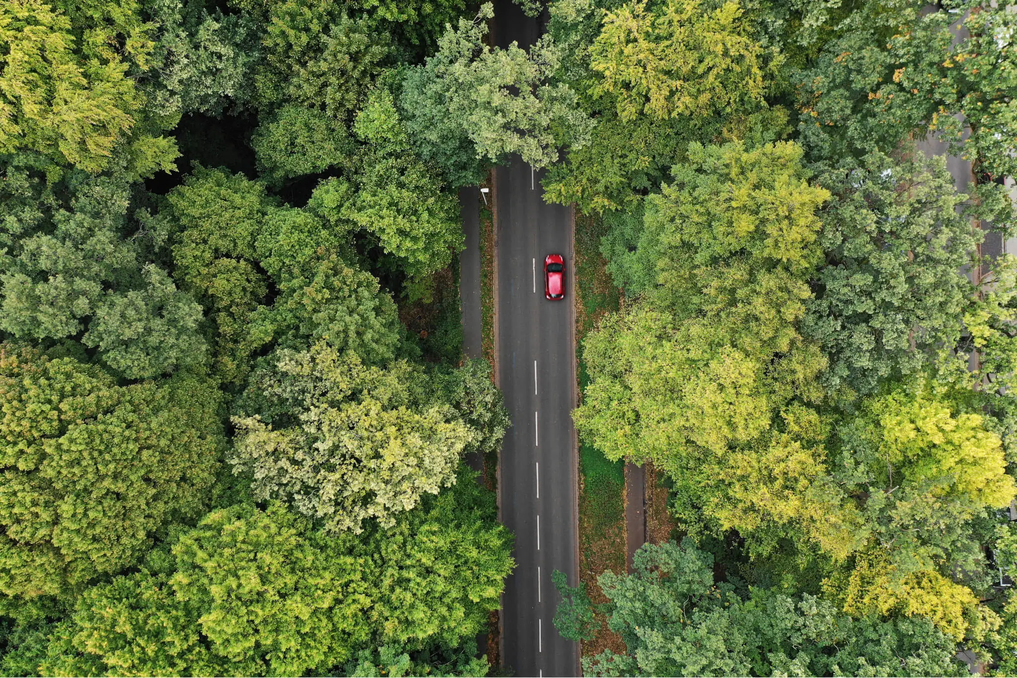 Wie umweltbewusst fahren; Vogelperspektive auf Auto, das durch Wald fährt