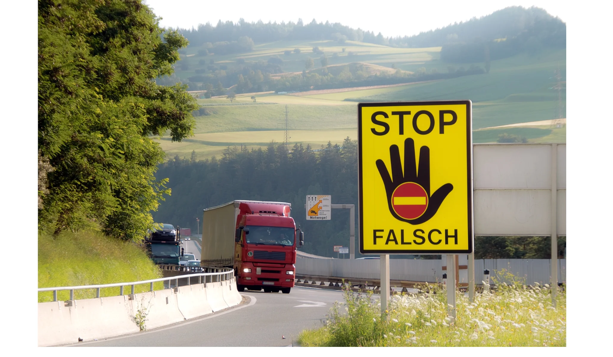 Falschfahrer Falschfahrerin