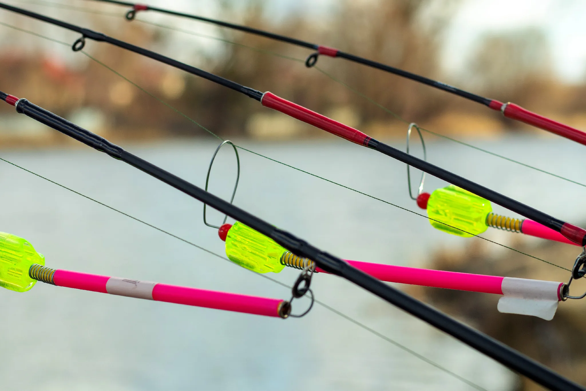 elektronische bissanzeiger